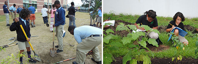 PP_school_yard_image
