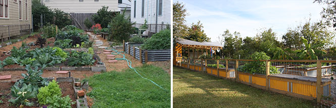 PP_urban_garden_image